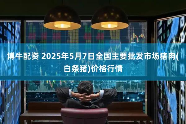 博牛配资 2025年5月7日全国主要批发市场猪肉(白条猪)价格行情