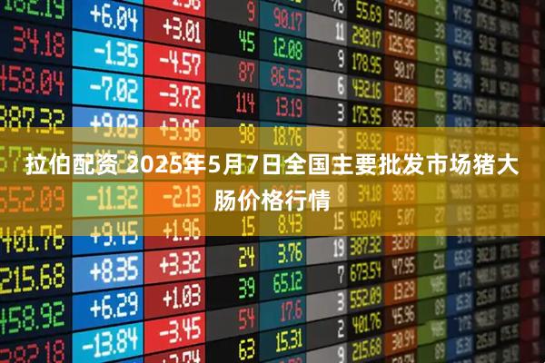 拉伯配资 2025年5月7日全国主要批发市场猪大肠价格行情