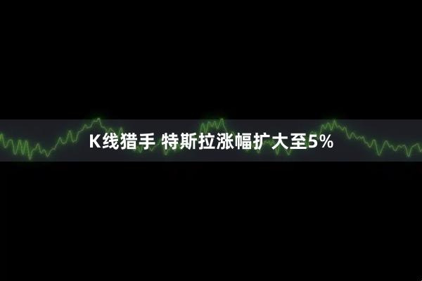 K线猎手 特斯拉涨幅扩大至5%