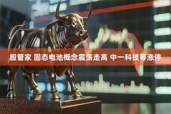 股管家 固态电池概念震荡走高 中一科技等涨停