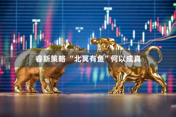 睿新策略 “北冥有鱼”何以成真
